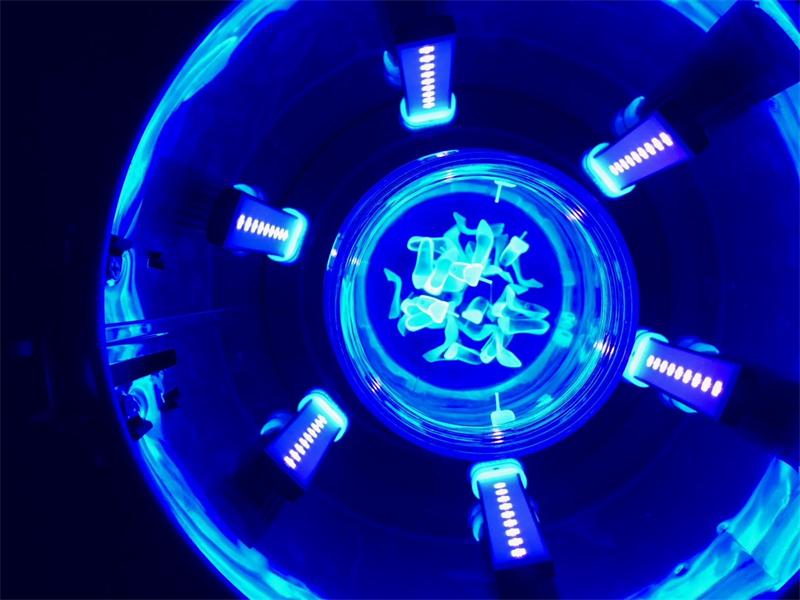 電子束固化技術(shù)的主要應用有哪些？